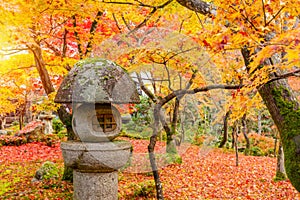 Soft focus stone lantern and beautiful colorful view of japanese garden in autumn season