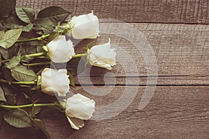 Soft full blown white roses as a neutral background on wooden board. Toned image. Top view.