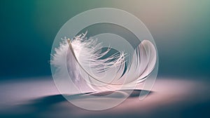 Soft gradient backgrounds (blue to white, or teal to purple) with subtle light effects