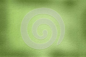 A soft green background with a textured surface and subtle shadows.