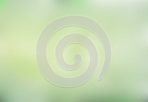 Soft green colored abstract background