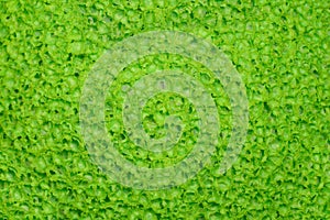 Soft green porous texture, surface.