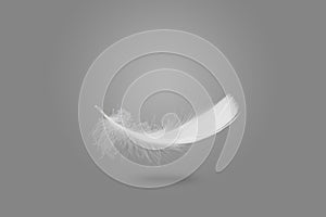 Soft and Light Single White Feather Falling in the Air.