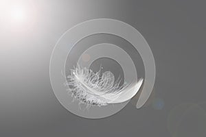 Soft and light single white feather floating in the sky.