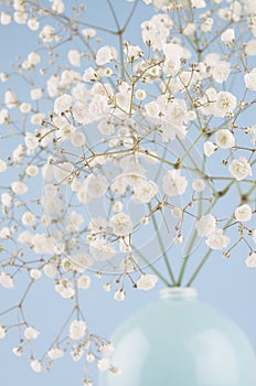 Soft light small flowers in circle ceramic blue vase closeup on pastel blue background. Spring season backdrop.