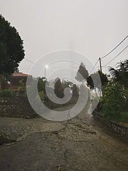 Soft mist in arjuno mountain