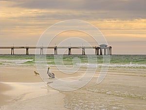 Soft morning light on beach at Florida's Emerald Coast beach