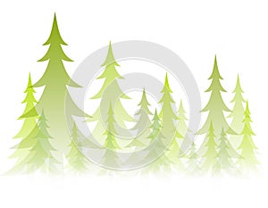 Soft Opaque Winter Trees