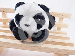 Soft panda doll, sitting only alone