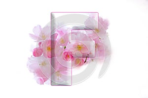 Soft pink LETTER F , romantic sign, cherry blossom alphabet, isolated design element