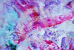 Soft pink purple violet dark spots pastel colors, bright pastel paint acrylic watercolor background, colorful texture