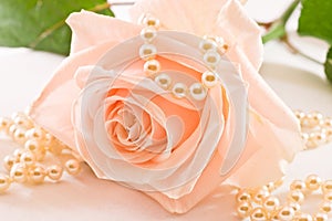 Soft pink rose and pearls