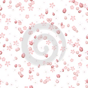 Soft pink roses buds and small flowers on white background.