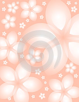 Soft Pink Spring Floral Background 2