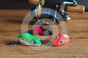 Soft plastic frog lure with fiishing spinning .