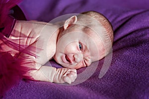 Soft portrait of peaceful sweet newborn infant baby lying on bed while sleeping in purple blanket