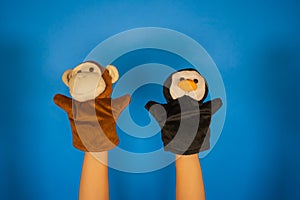 Soft puppet toys on hands on blue background. Concept of puppet show. Close-up of hands with puppet monkey and penguin.