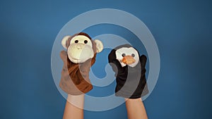 Soft puppet toys on hands on blue background. Concept of puppet show. Close-up of hands with puppet monkey and penguin.