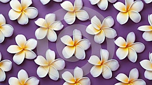 Soft purple and blue plumeria frangipani flower background abstract