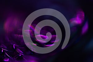 Soft rainbow light flares background or overlay