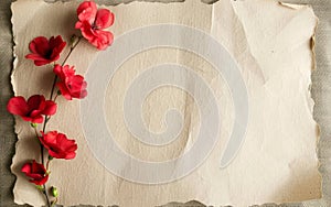 Soft red flowers gently rest on a beige paper with torn edges, combining delicacy and texture to create a serene