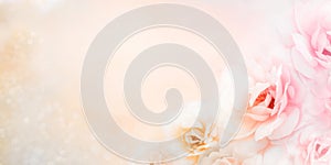 Soft roses flower banner background in vintage peach tone with glitters and copy space design for valentine and wedding cards