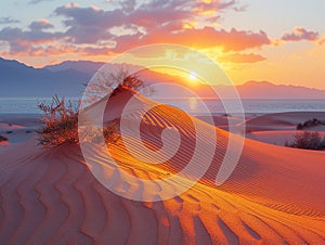 Soft sand dunes at sunrise