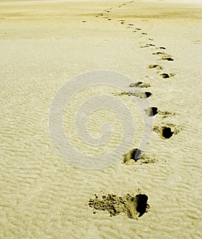 Soft sand footprint on The World, Dubai photo