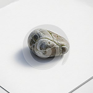 A soft shadow emphasizing its rounded shape and subtle texture