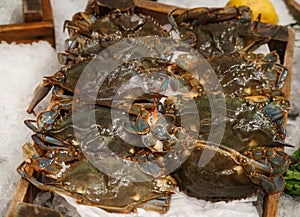 Soft shell crab on ice at the fish restaurant