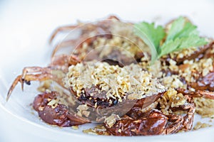 Soft shell crab fried with garlic