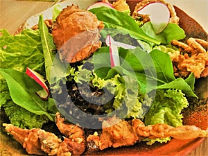 Soft Shell Crab Salad a cold dish of various mixtures of raw or cooked vegetables