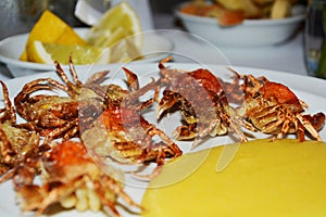 Soft shell crabs and cornmeal mush, background