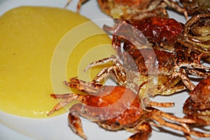 Soft shell crabs and cornmeal mush, close up