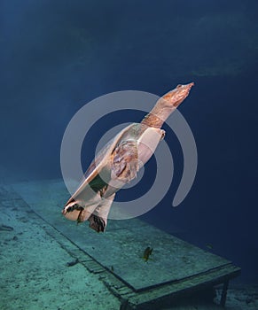 Soft Shell Turtle Surfacing For Air