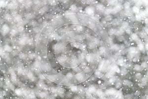 Soft snowflakes falling background with defocused pine trees in