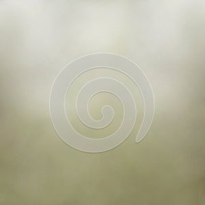 Olive Soft Vintage Studio Background