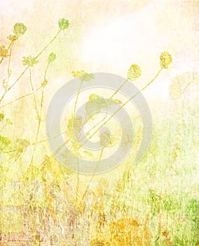 Soft summer meadow textured background