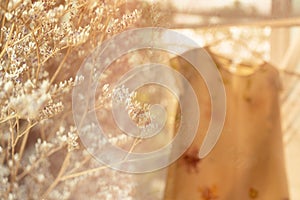 Soft sunlight romantic beige white dried nature flower blur with woman dress cloth for fashion background