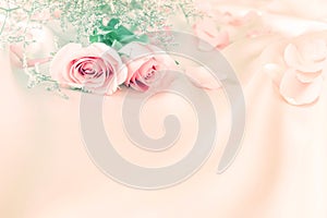 Soft sweet rose flowers for love romance background