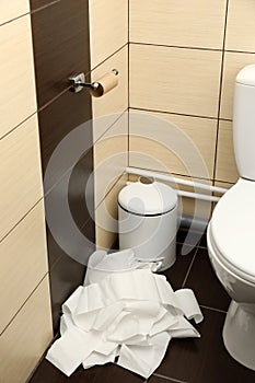 Soft toilet paper unrolled from holder on floor