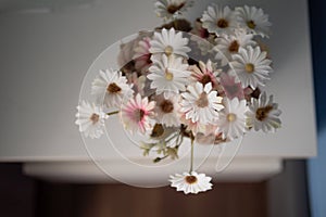 Soft tone beautiful flower in the jar