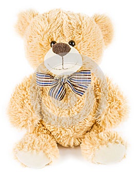 Soft toy bear