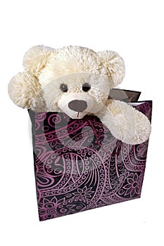 Soft toy bear in a gift box