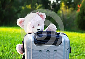 Soft toy bear on travel bag on green summer meadow