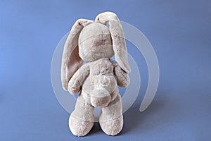soft toy hare stands facing away on a bright blue background