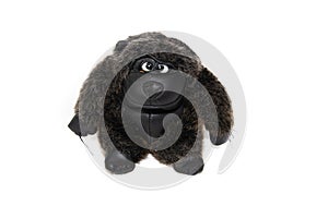 Soft toy monkey isolated on white background. Kids toys