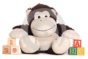 Soft toy monkey with learning blocks