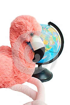 Soft toy pink flamingo with globe isolated on the white background.