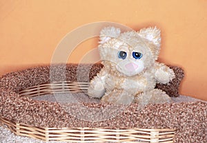 Soft toy of a sad cat with big blue eyes